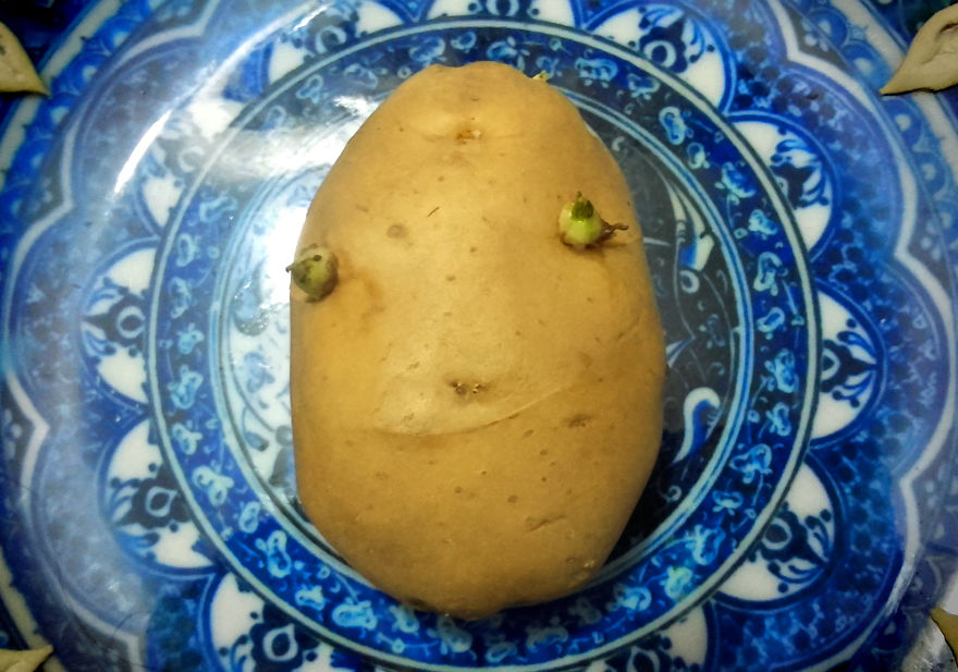 God Texts Me Smiles :) [50+pics Facetime God]