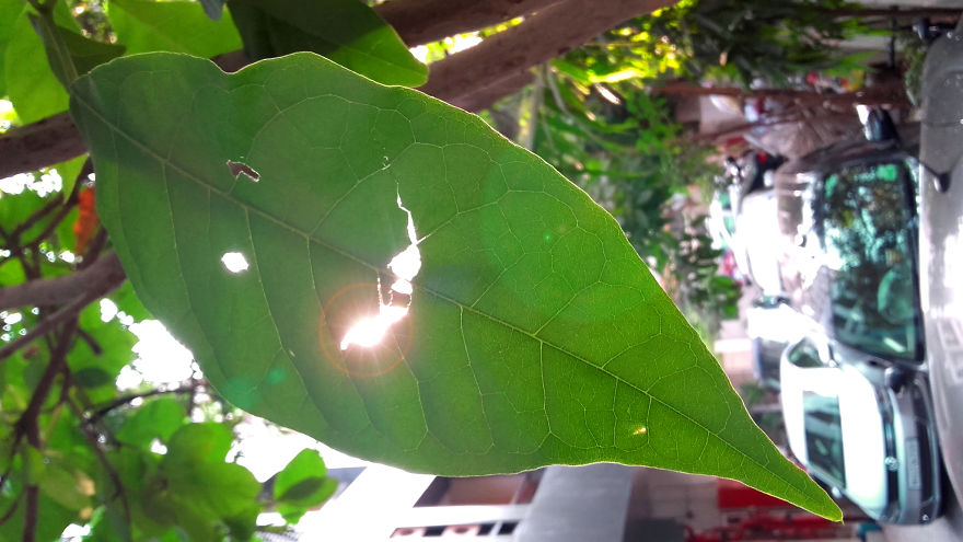 God Texts Me Smiles :) [50+pics Facetime God]