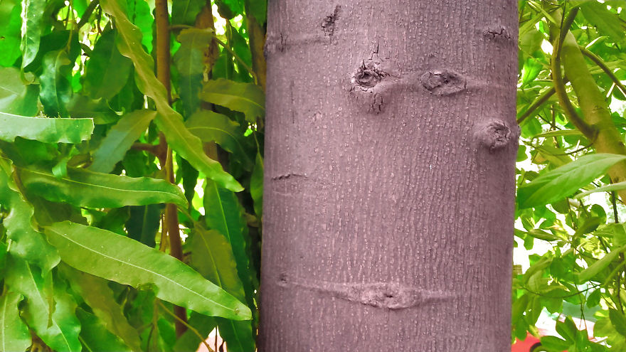 God Texts Me Smiles :) [50+pics Facetime God]