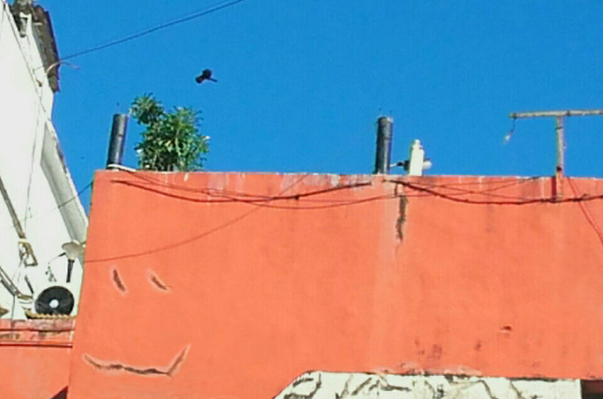 God Texts Me Smiles :) [50+pics Facetime God]