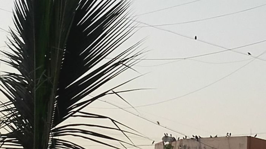 God Texts Me Smiles :) [50+pics Facetime God]