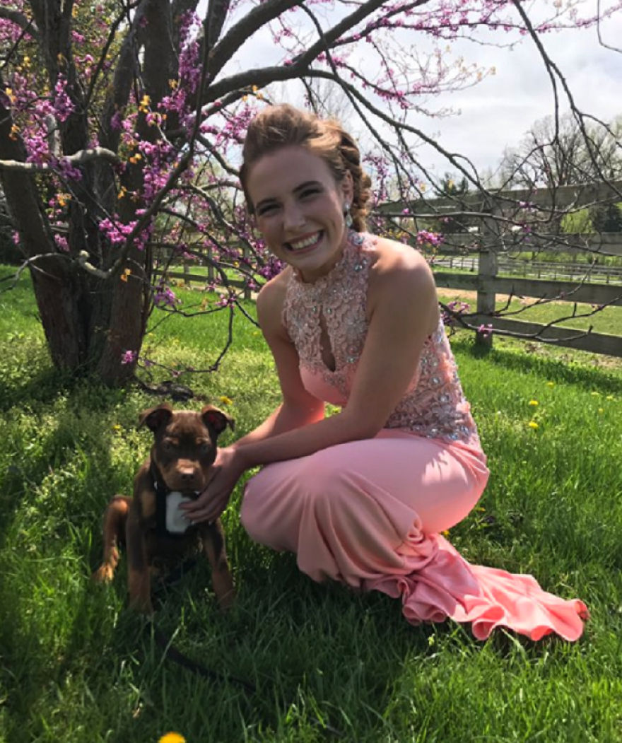 Girl Waiting For A Beautiful Photo, But The Puppy Did Not Cooperate