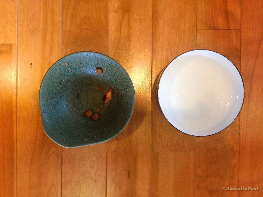 Gochisosama: Was Kinako's Dinner