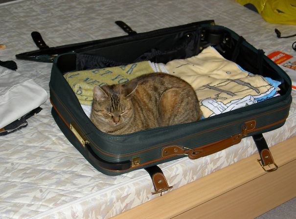 This Is My Place... Vacation Time