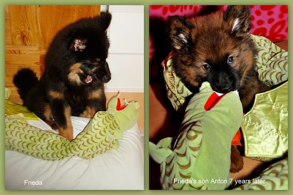 Seven Years After His Mother Frieda Anton Fights The Same Dragon