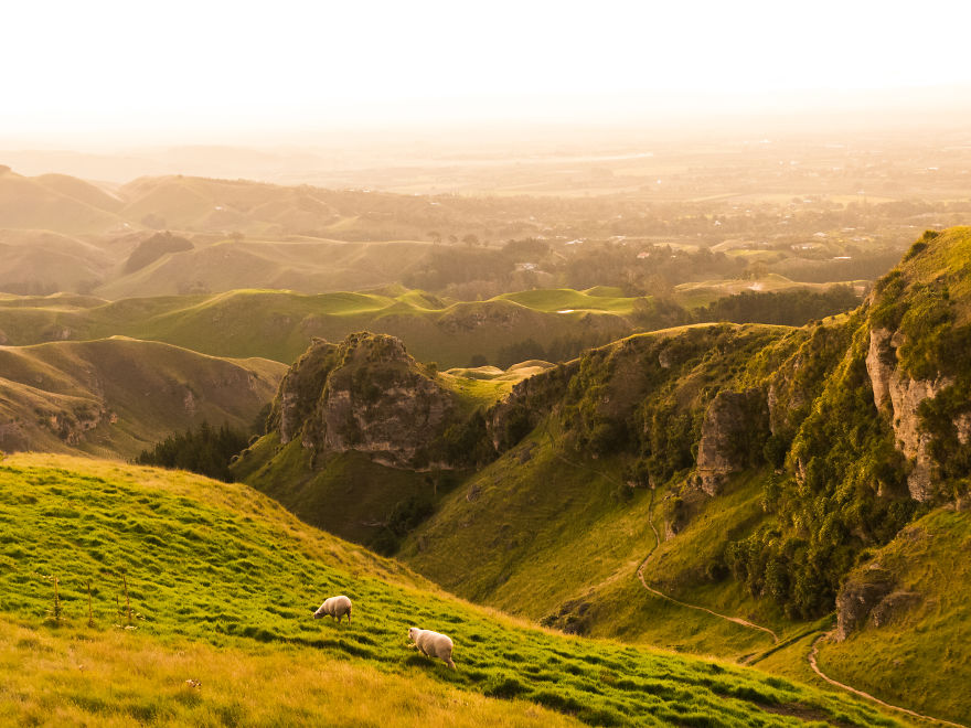 I Just Drove 8,000km Around New Zealand And Realized This Country Can't Be Real