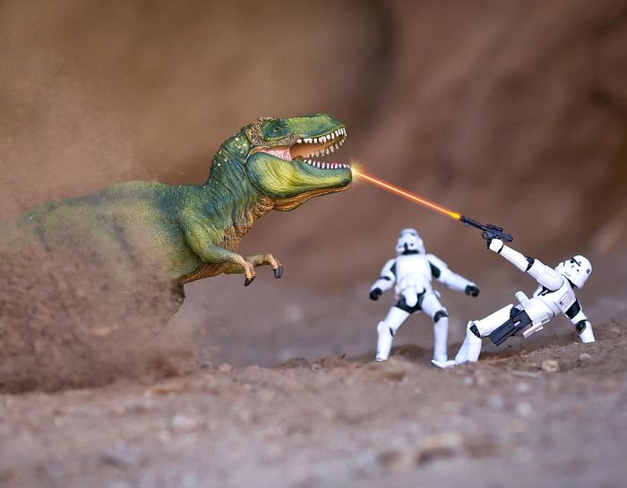 Survival Of The Fittest... And For Those Who Possess Superior Fire Power!