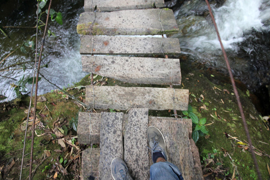 I Went To Colombia And Found These Insanely Tall Palm Trees