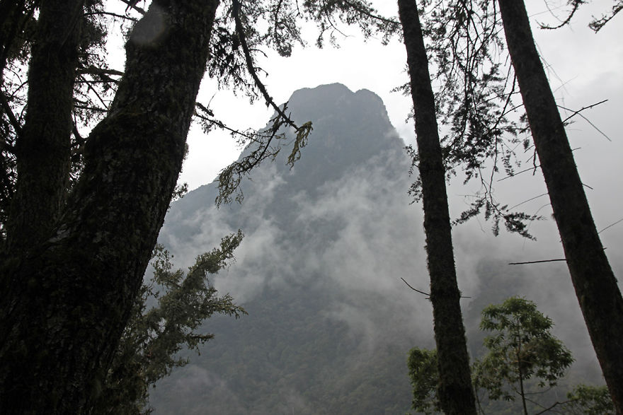 I Went To Colombia And Found These Insanely Tall Palm Trees