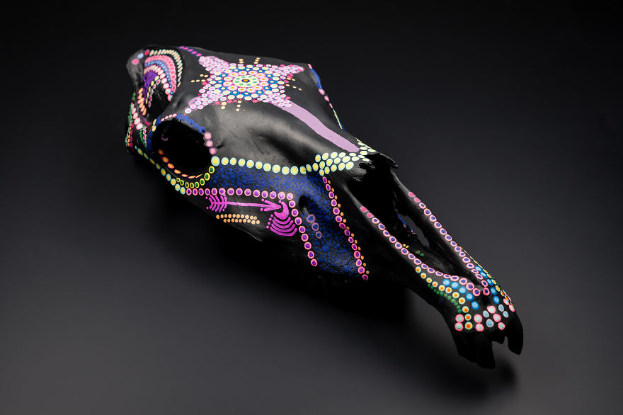 I Help Dead Animals To Reborn