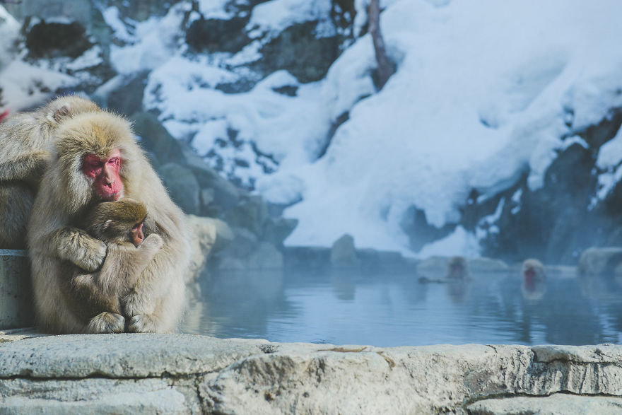 I Spent 4 Weeks Photographing An 'off The Beaten Track' Journey Through Japan