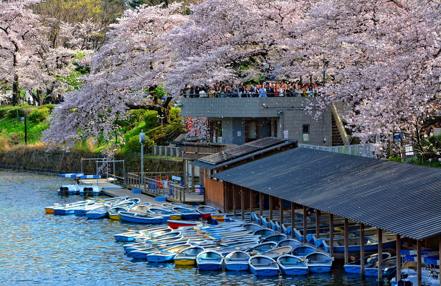 I Spent Two Weeks In Japan And I Fell In Love With This Country Where Past And Future Collide I Spent Two Weeks In Japan And I Fell In Love With This Country Where Past And Future Collide