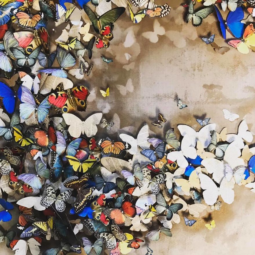 I've Hand Cut Over 800 Paper Butterflies In Memory Of My Grandmother I've Hand Cut Over 800 Paper Butterflies In Memory Of My Grandmother