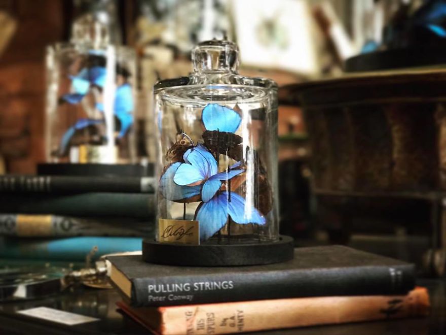 I've Hand Cut Over 800 Paper Butterflies In Memory Of My Grandmother I've Hand Cut Over 800 Paper Butterflies In Memory Of My Grandmother