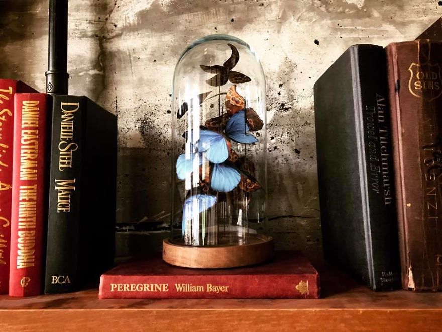 I've Hand Cut Over 800 Paper Butterflies In Memory Of My Grandmother I've Hand Cut Over 800 Paper Butterflies In Memory Of My Grandmother