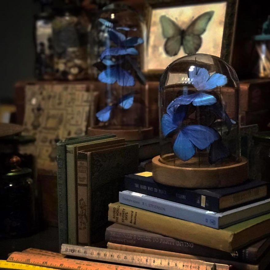 I've Hand Cut Over 800 Paper Butterflies In Memory Of My Grandmother I've Hand Cut Over 800 Paper Butterflies In Memory Of My Grandmother