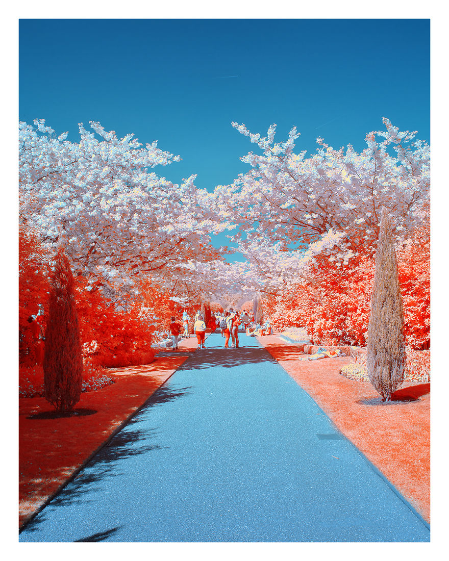 I Captured The Arrival Of Spring On London In Ultracolour