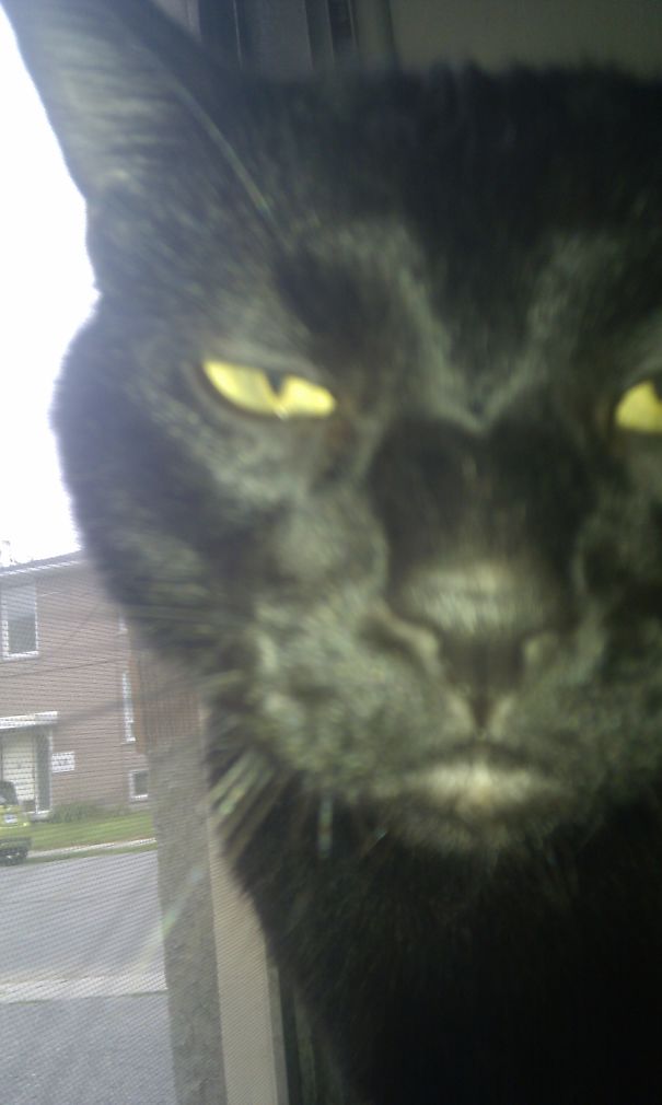 Get Out Of My Face...