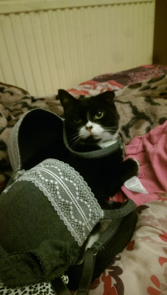 Shes 11 And I Only Went For A Shower