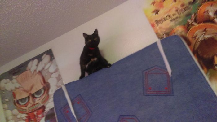 What You Talkin' 'bout?