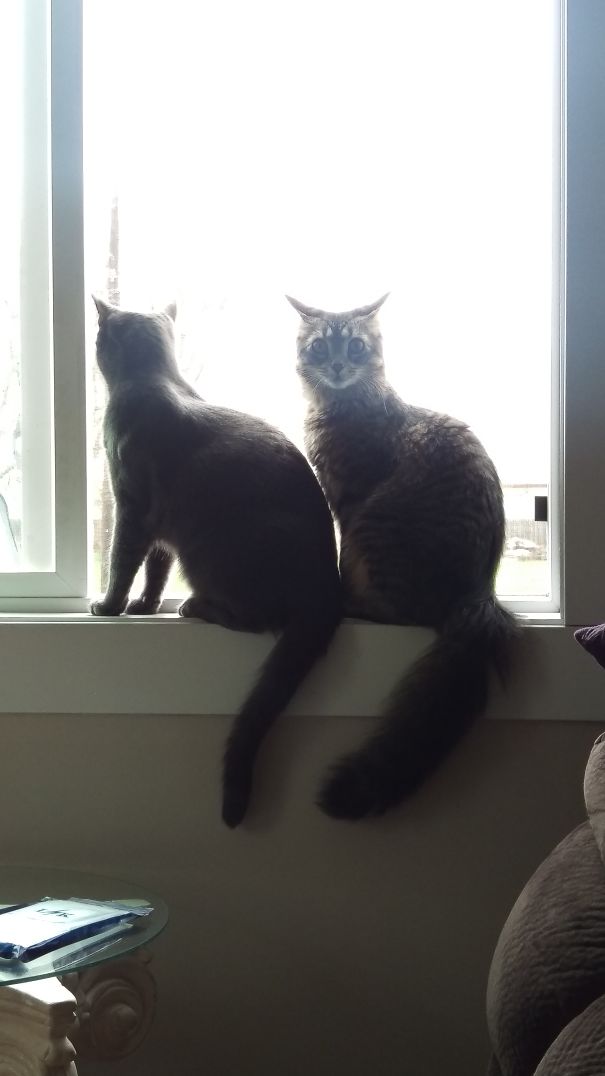 What Are You Looking At?!