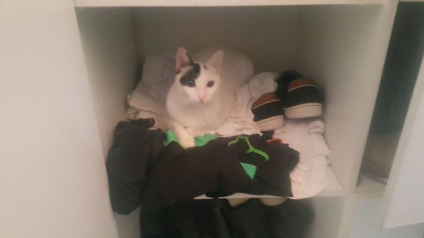 When I Opened My Closet