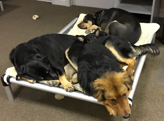 The View From My Work Desk