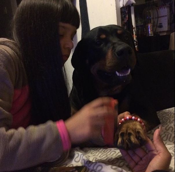 My Daughter And My Dog. Best Friends That Do Everything Together 😍😍😍