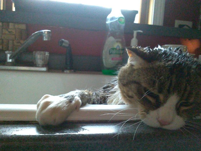 It Could Be Worse...