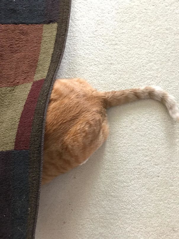 Hiding From The Kids