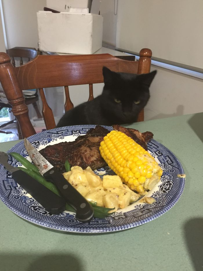 Apparently This Is Her Tea, Queen Of The House 💜