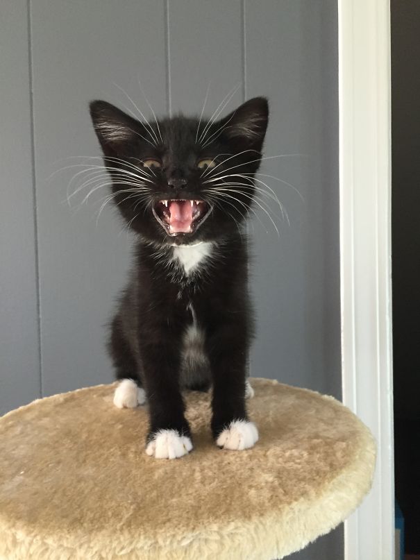 I Don't Wat To Be Fixed, I'm Not Broke