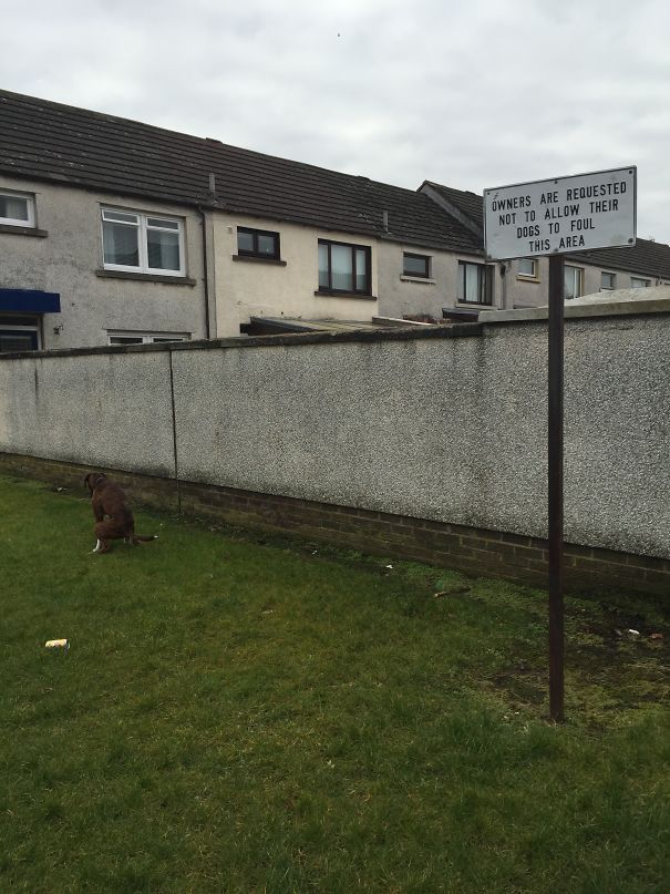 This Was Supposed To Be A Picture Of A Wall About To Be Demolished