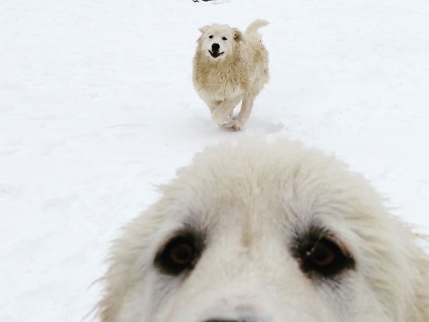 I'm Cuter... Look At Me!