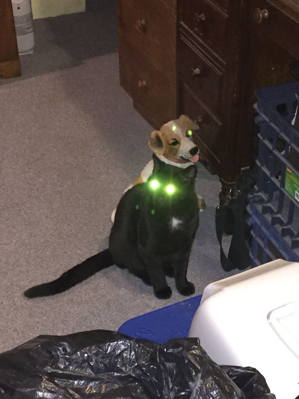 Are You Sure You Wanna Mess With Me?!