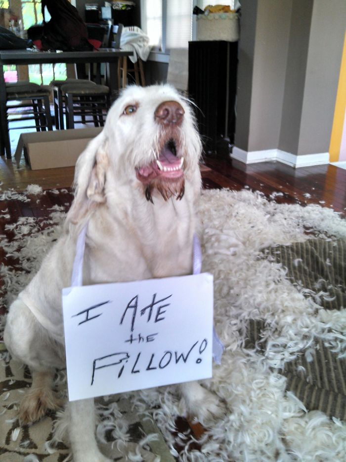 Too Many Times To Count!