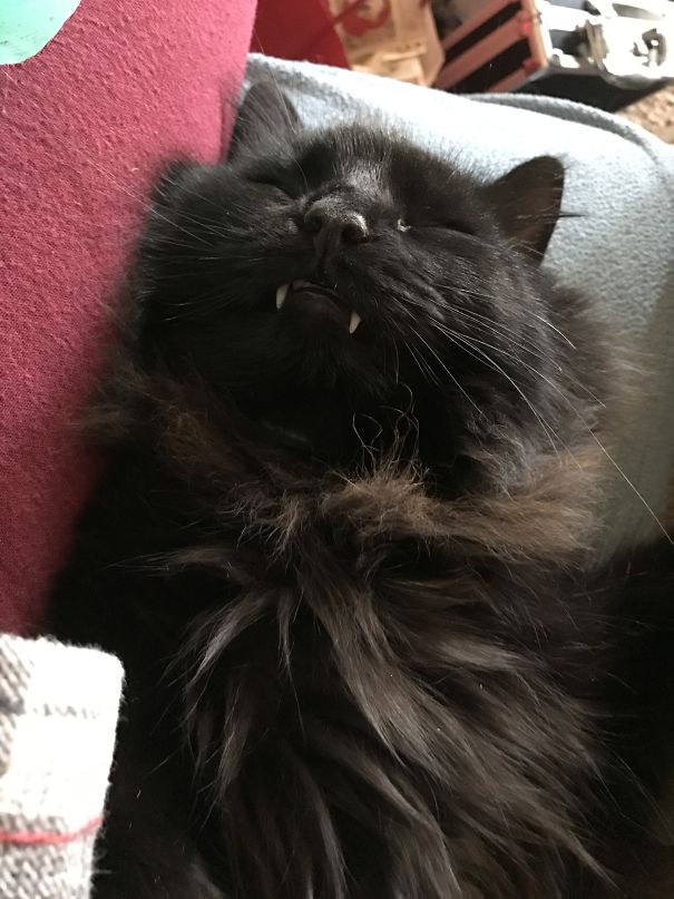 Waiting On The Moon To Rise