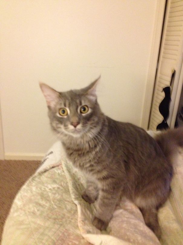 So Thats What You Look Like In The Morning