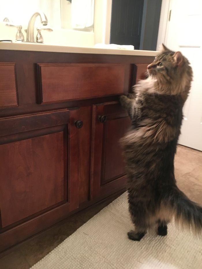 Always Looking For Something To Snag Off Of The Vanity.