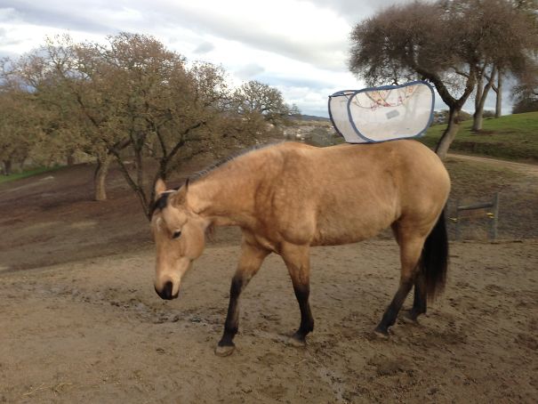 Bella Is Such A Good Sport.