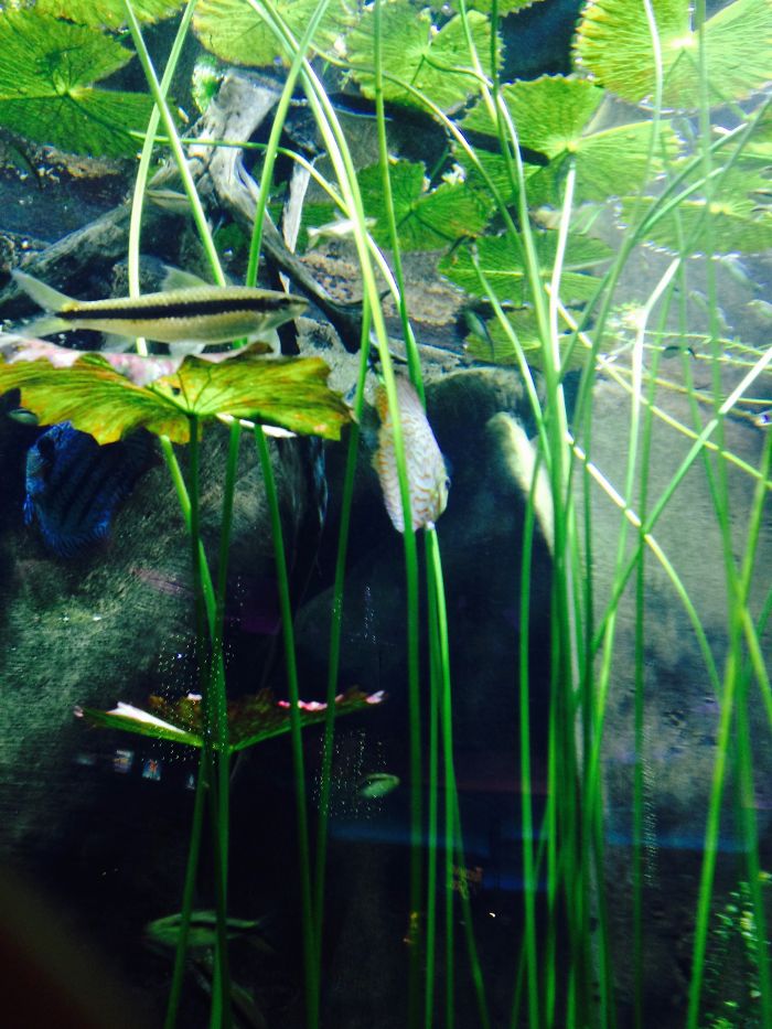 I Photograph Places I’ve Been And Things I See