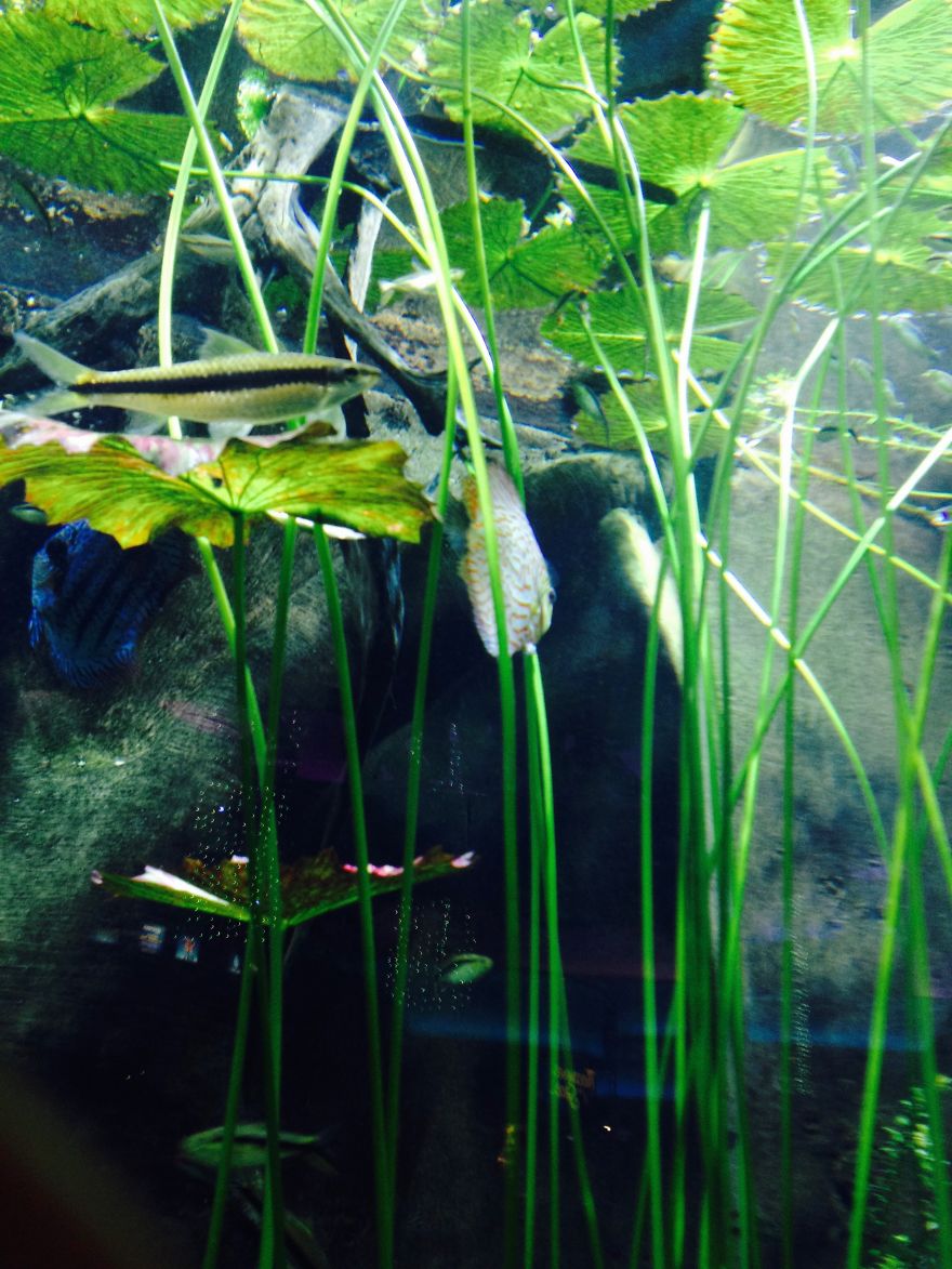 I Photograph Places I've Been And Things I See I Photograph Places I've Been And Things I See