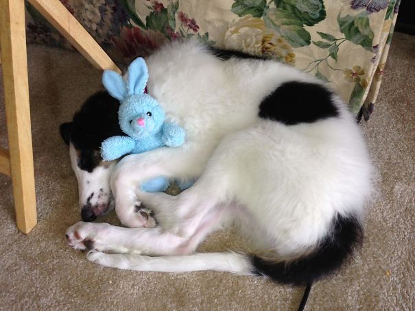 She Caught Her First Bunny