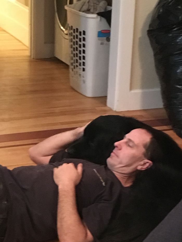 My Dad Loves That Dog