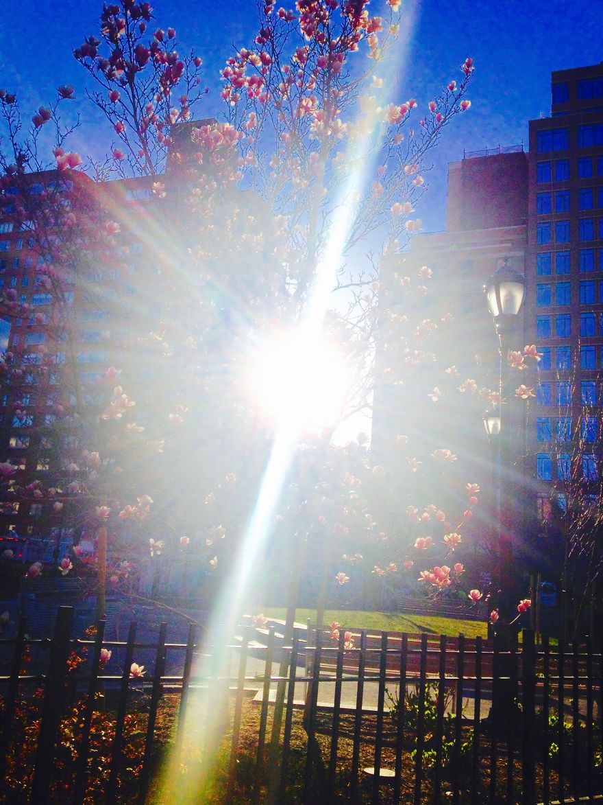 I Photograph Places I've Been And Things I See I Photograph Places I've Been And Things I See