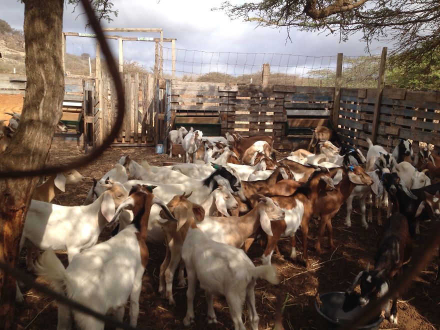 I Photograph Places I've Been And Things I See I Photograph Places I've Been And Things I See