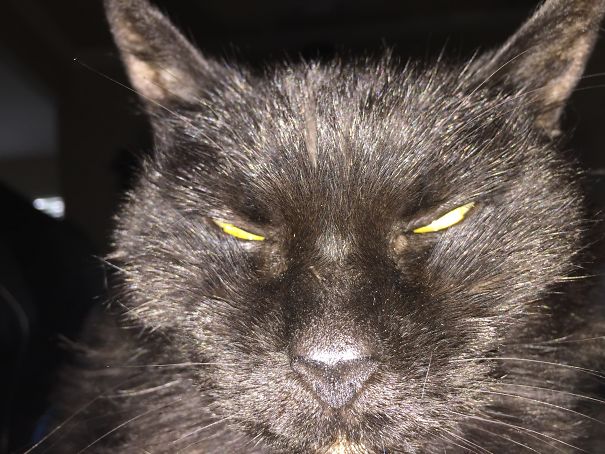 I Shall Destroy You...