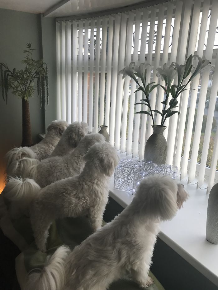 Neighbourhood Watch!