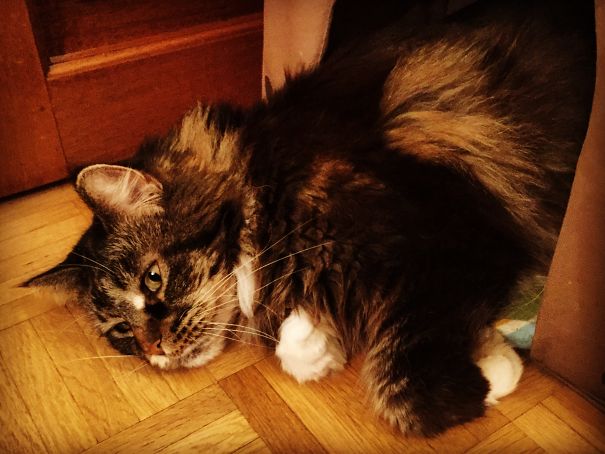 I Am Very Sad And Unfortunate !