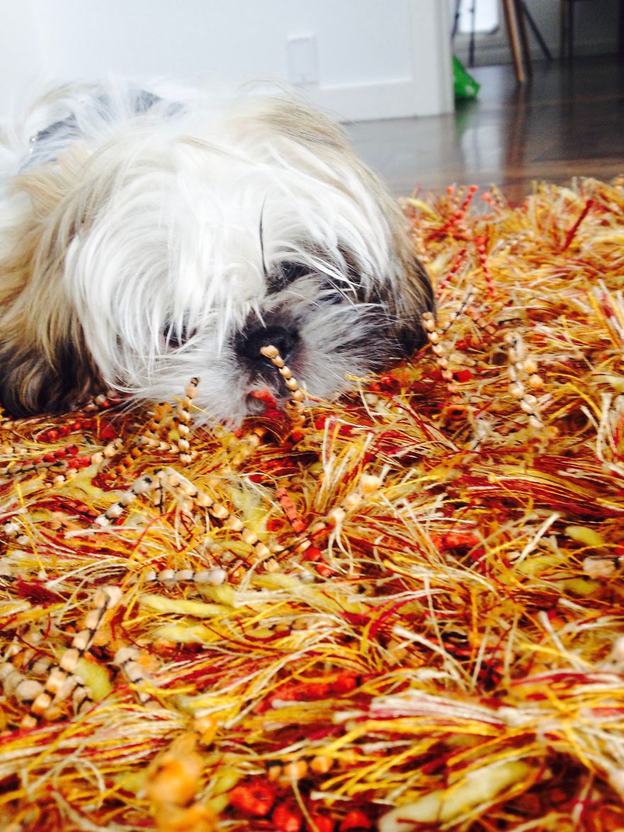 I Photograph Places I've Been And Things I See I Photograph Places I've Been And Things I See